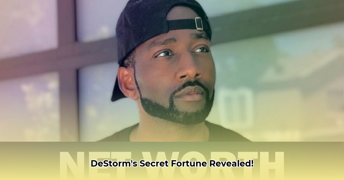 destorm-power-net-worth
